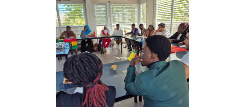 Image / illustration