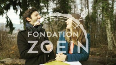 Image / illustration