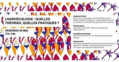 Image / illustration