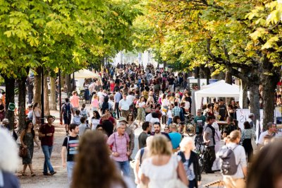 Image / illustration