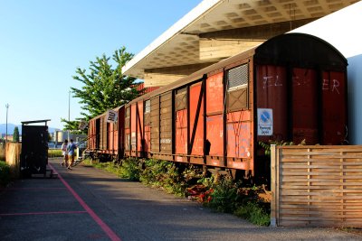 Image / illustration