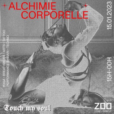 Image / illustration